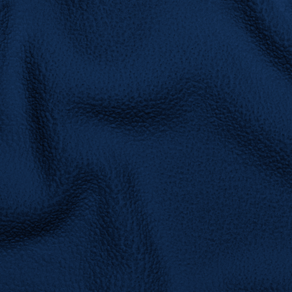 boa 'fleece' hoodie navy